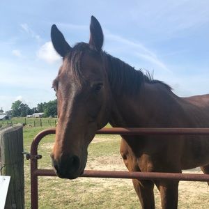 Meet your Posher, Hailey